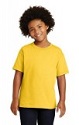 Custom Printed 
Youth Apparel in a large selection of brands, colors and styles.
