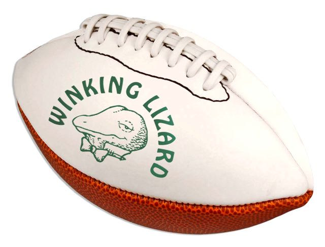 Synthetic Leather Footballs with Autograph Panels
